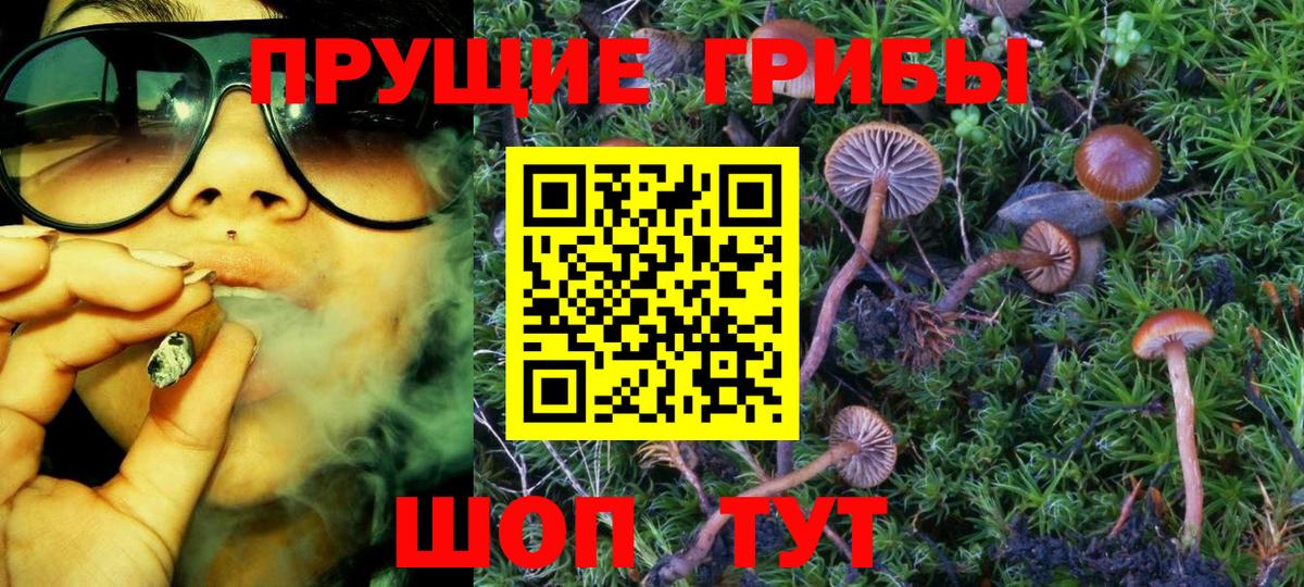 Псилоцибиновые грибы прущие грибы Балабаново